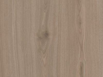 Плитка керамогранит Альберони SG643820R Светло-коричневый матовый