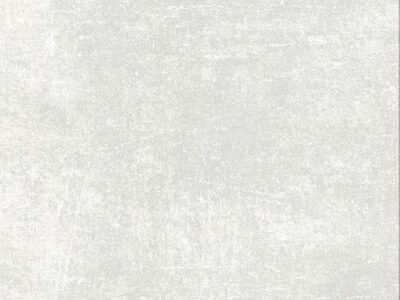 Граните Стоун Цемент 1200*600*10,5 SR Белый 45,36кв.м
